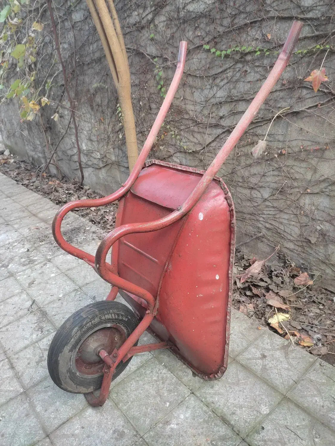 فرغون سالم بدون پوسیدگی|مصالح و تجهیزات ساختمان|رشت, چله خانه|دیوار