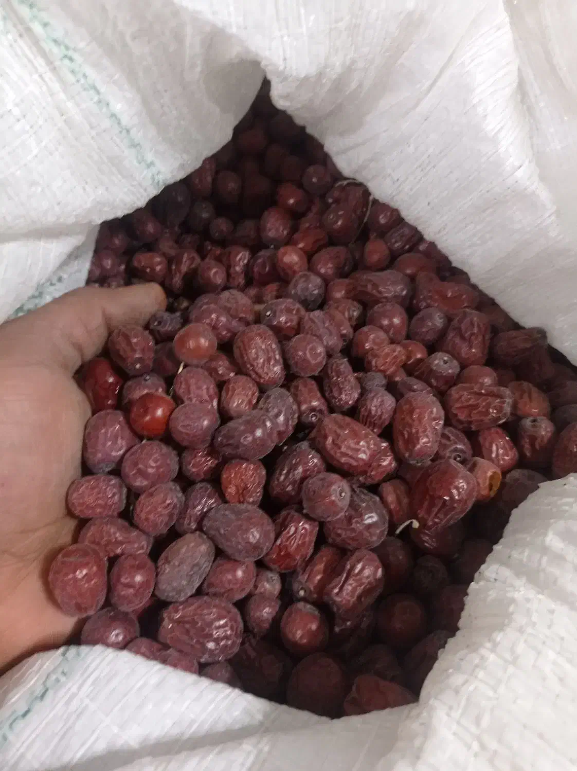 عناب.|حراج|سبزوار, شرق کال جنوبی (شمس آبادی)|دیوار