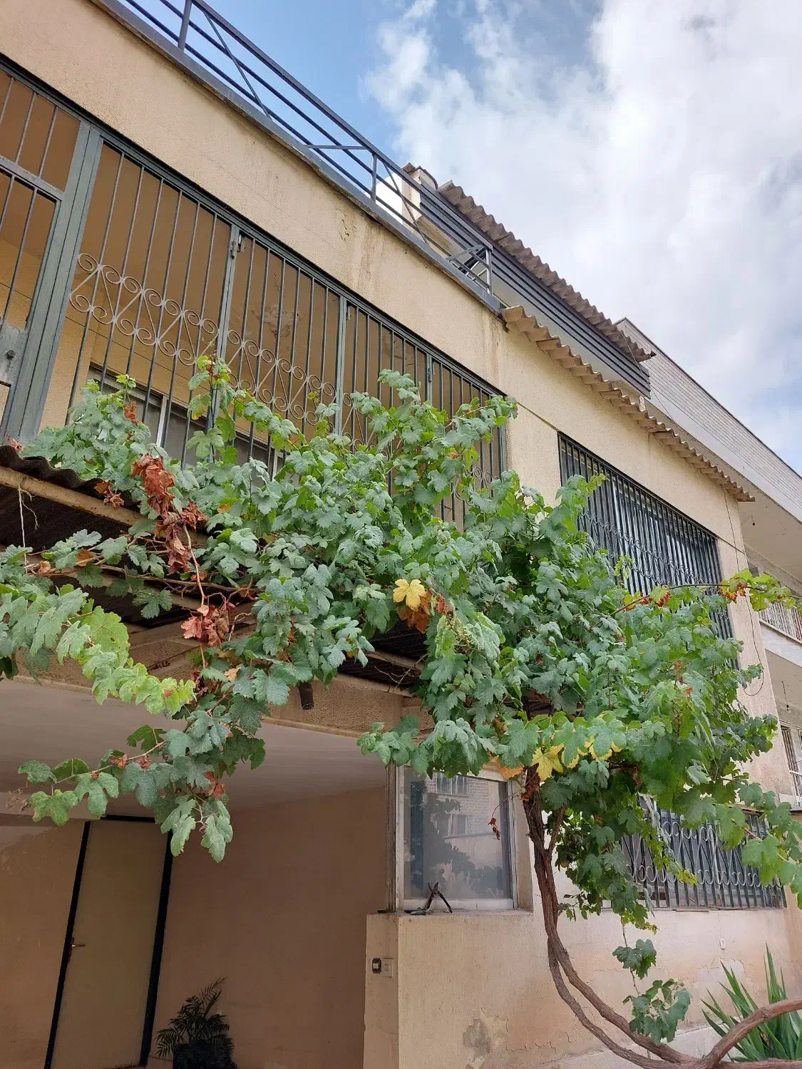 زعفرانیه کلنگی مسکونی جنوبی|فروش زمین و ملک کلنگی|تهران, زعفرانیه|دیوار