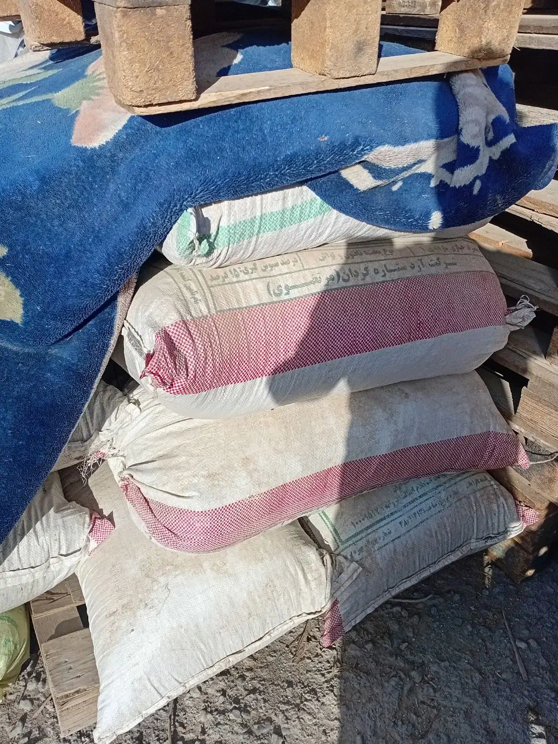 کود کوسفندی|خدمات باغبانی و درختکاری|شهریار, شهرک شاهد|دیوار