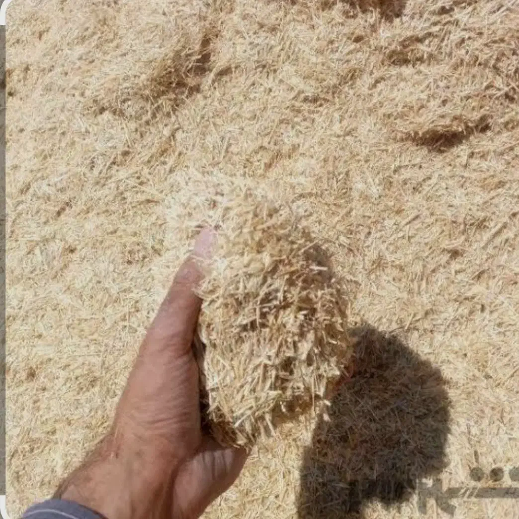 کاه جو|لوازم جانبی حیوانات|فیروزآباد (فارس), |دیوار