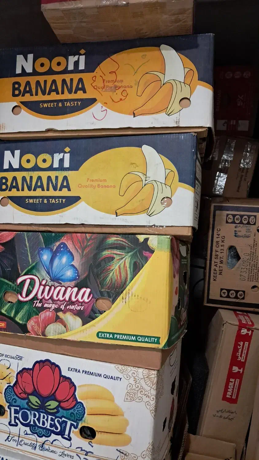 کارتن وجعبه خالی|عمده‌فروشی|تهران, پرستار|دیوار