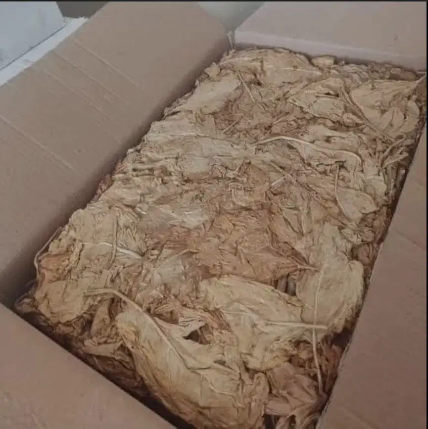 برگ زرد شیرین و دو مزه|خوردنی و آشامیدنی|شیراز, زرهی|دیوار