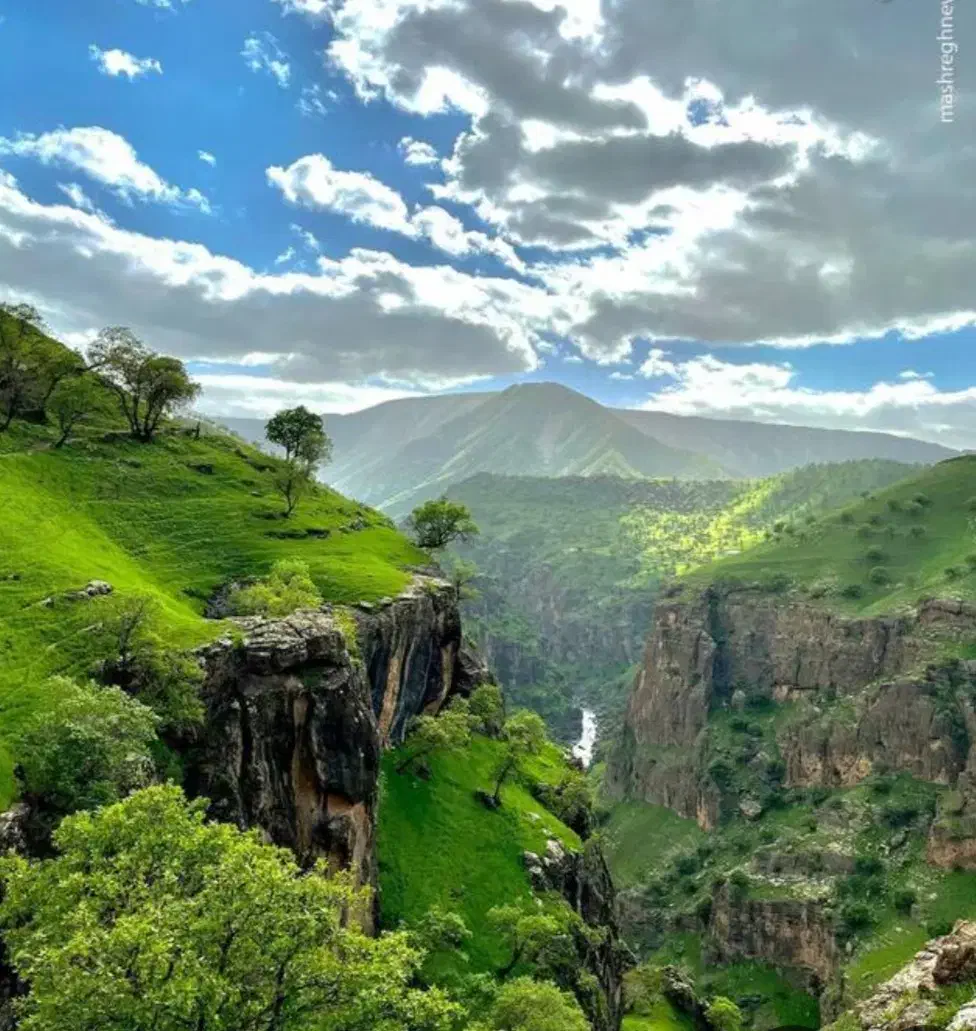 راهنمایی درباره اقامت در شمال|فعالیت داوطلبانه|قائم‌شهر, |دیوار
