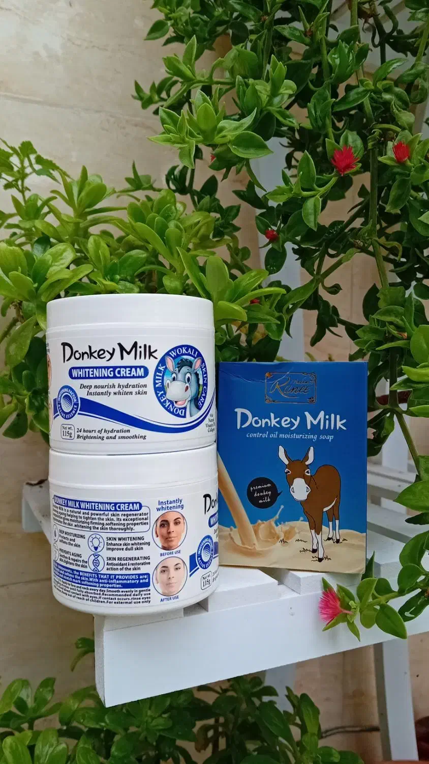 صابون شیر الاغ و کرم شیر الاغ|آرایشی، بهداشتی، درمانی|رشت, ساغری سازان|دیوار