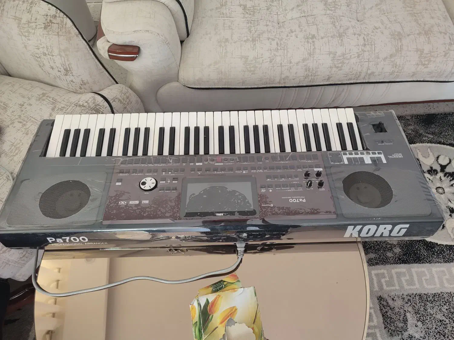 pa700|پیانو، کیبورد، آکاردئون|کوه چنار, |دیوار