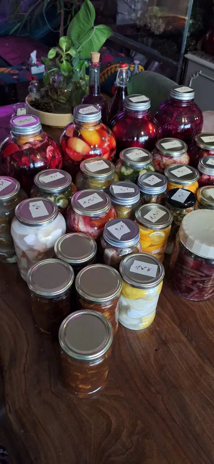 پروبیوتیک کیمچی ساورکرات و کواس|خوردنی و آشامیدنی|تهران, ایرانشهر|دیوار