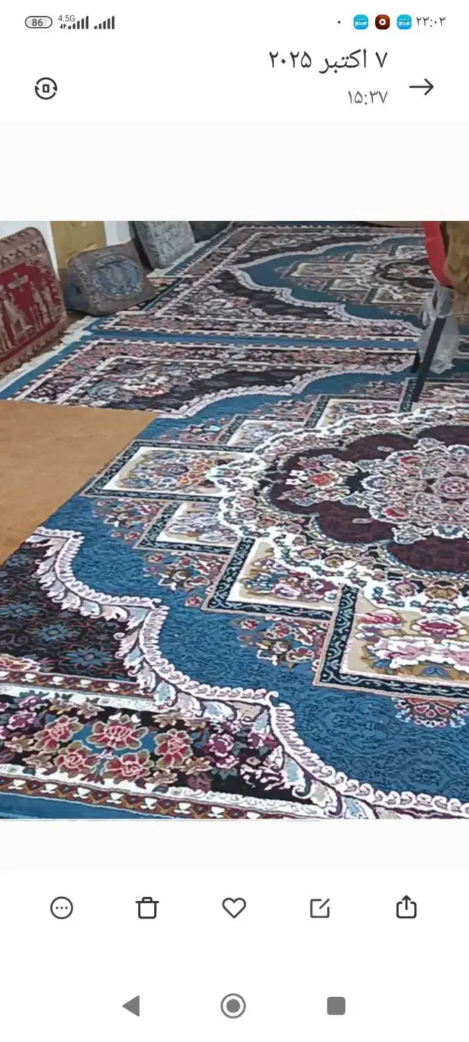 فرشش|فرش|اردکان, |دیوار