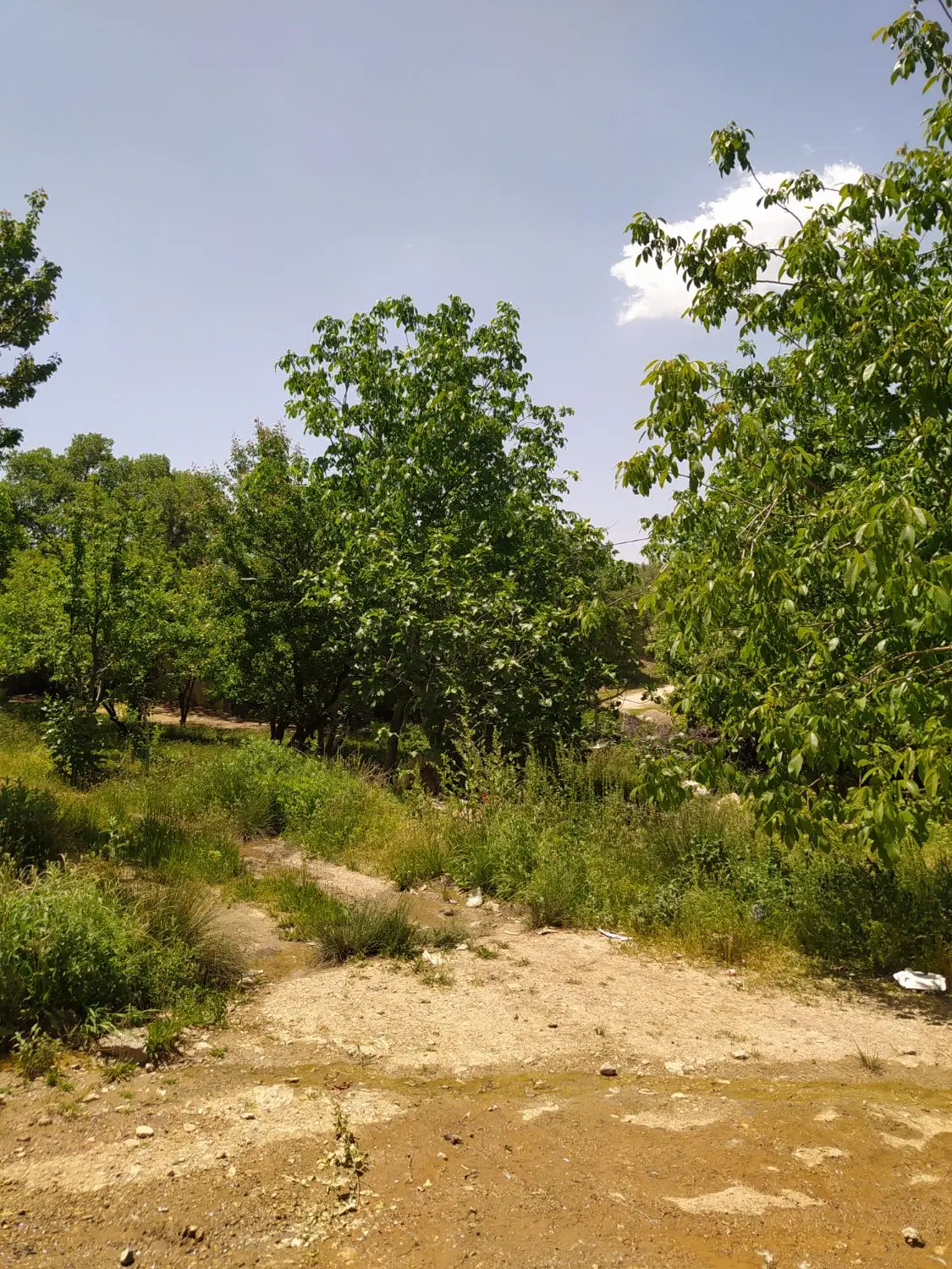 تصویر 7