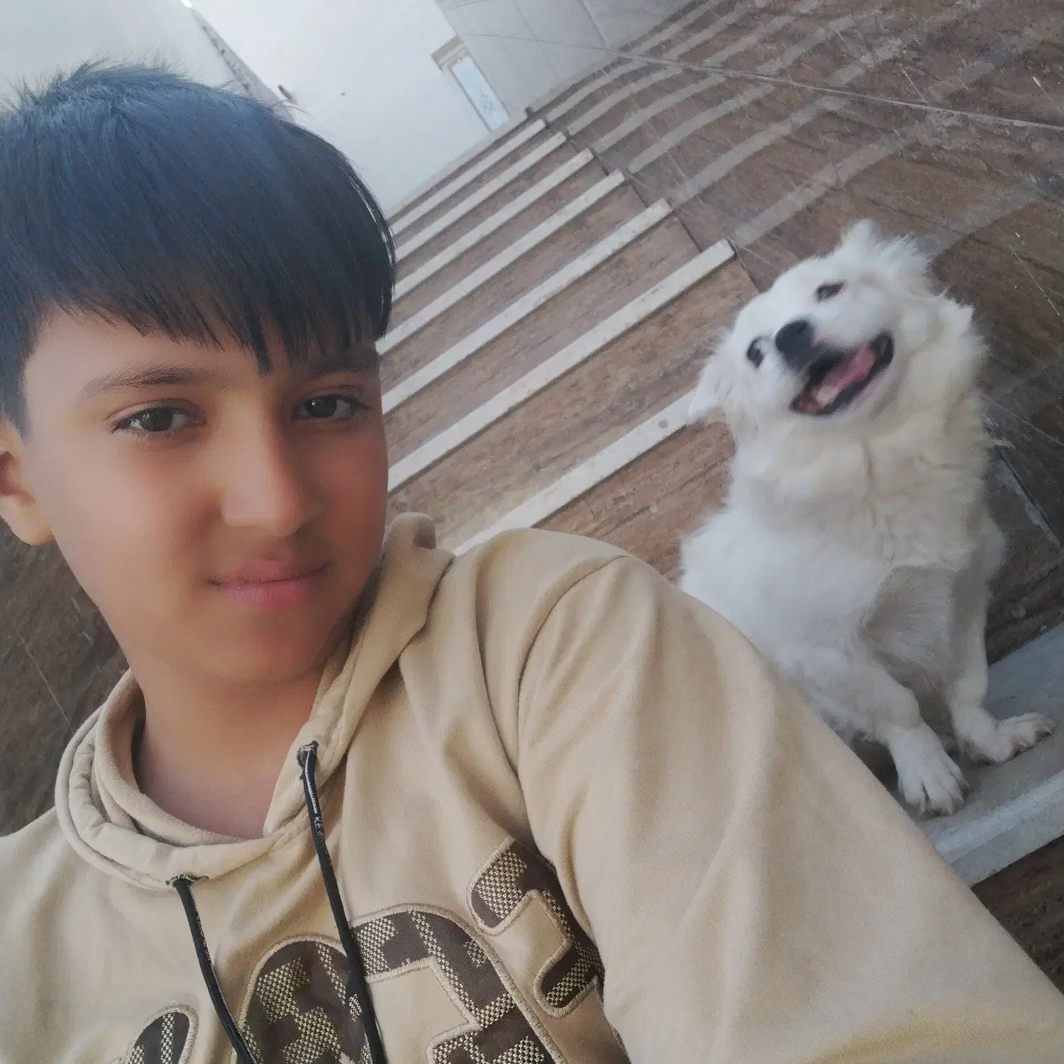 سگ در کاریز گمشده مژدگانی 6 ملیون|حیوانات|تایباد, |دیوار