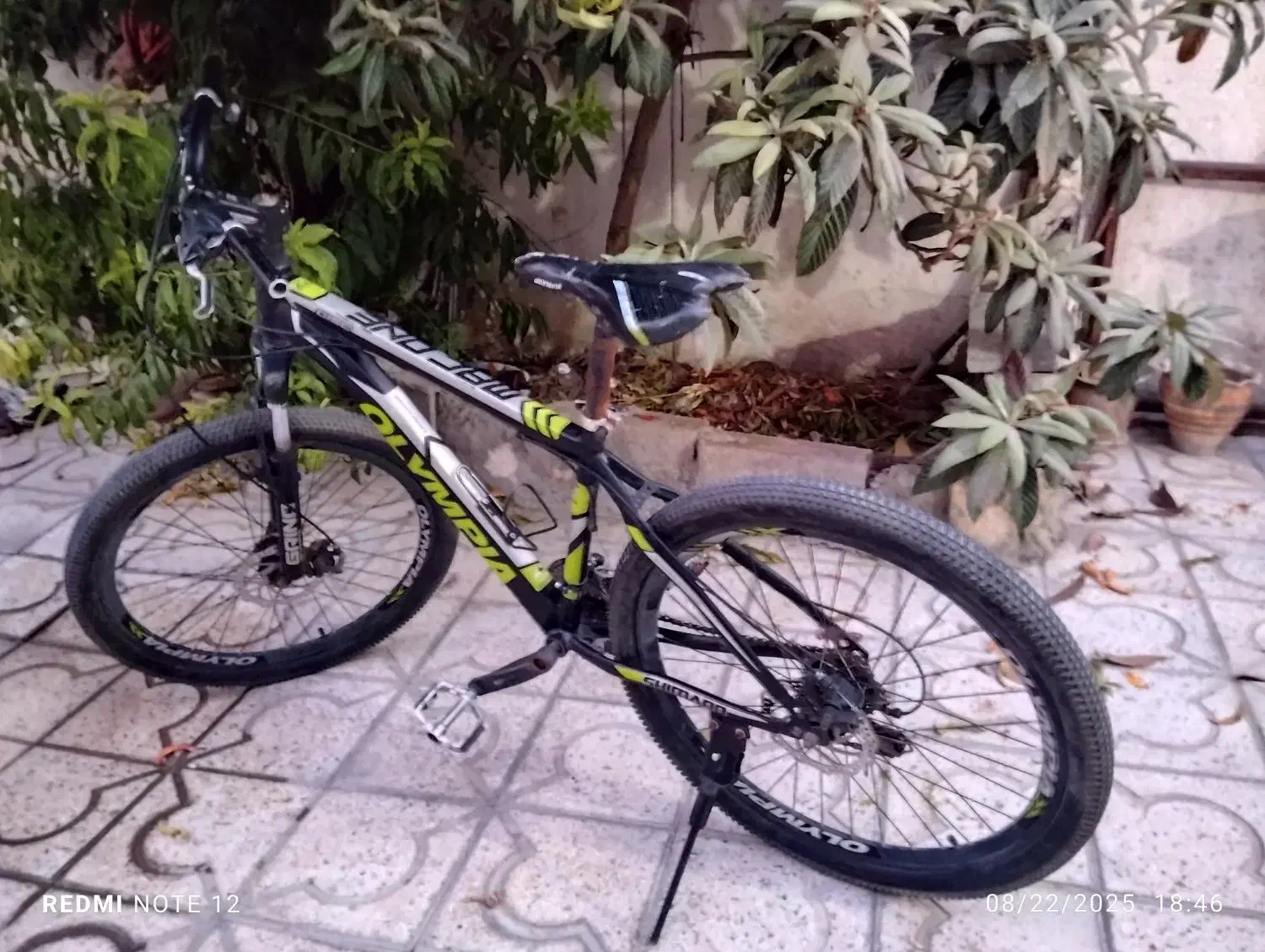 دوچرخه المپیا|دوچرخه، اسکیت، اسکوتر|شیراز, دباغ خانه|دیوار