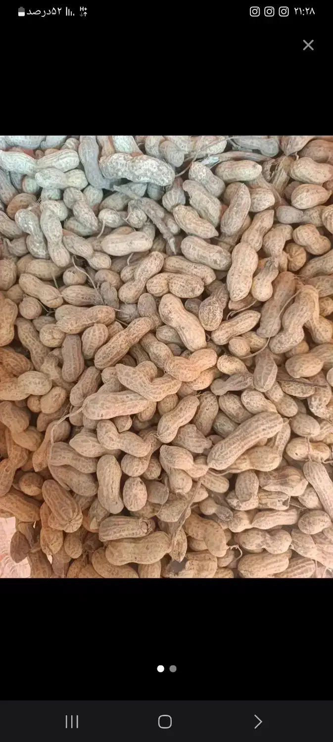 بادام زمینی خام|خوردنی و آشامیدنی|قشلاق دشت, |دیوار