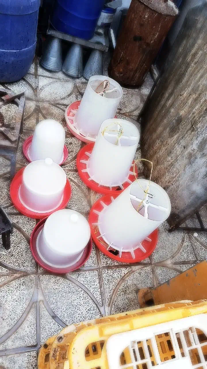 لوازم مرغ فروشی|فروشگاه و مغازه|کوهدشت, |دیوار