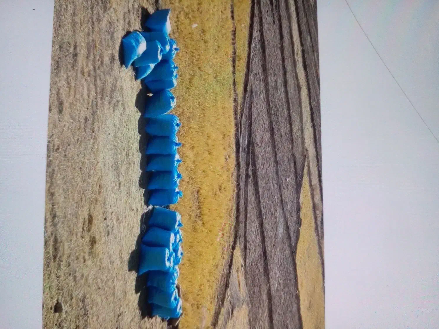 کاه برنج کمباین شده|عمدهفروشی|لوداب, |دیوار