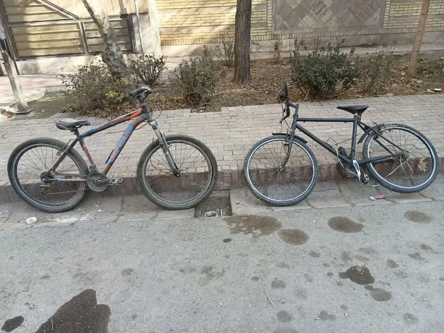 دوچرخه ۲۶ دنده ای|دوچرخه، اسکیت، اسکوتر|مشهد, یاس|دیوار