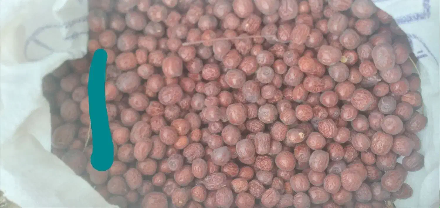 عناب برداشت امسال سالم|خوردنی و آشامیدنی|خوسف, |دیوار