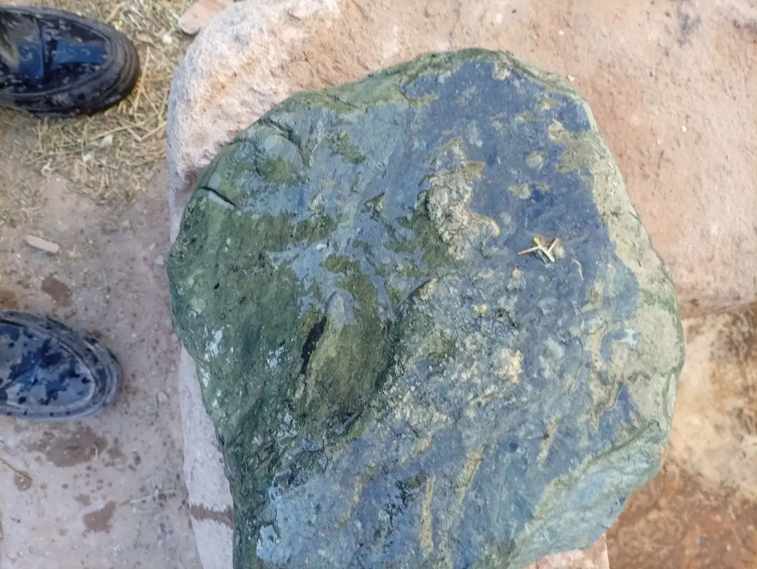 سنگ قیمتی|کلکسیون اشیاء عتیقه|درمیان, |دیوار