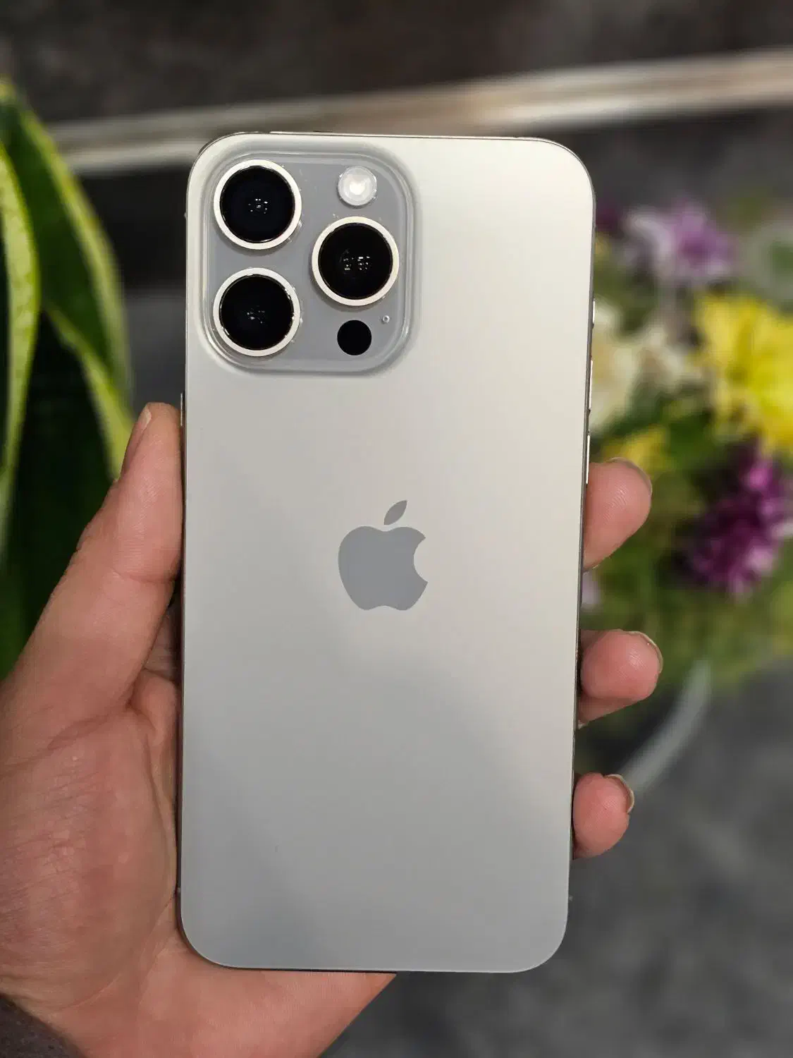 15promax.Z/A 256.ریجسترشده|موبایل|مشهد, بهشت|دیوار