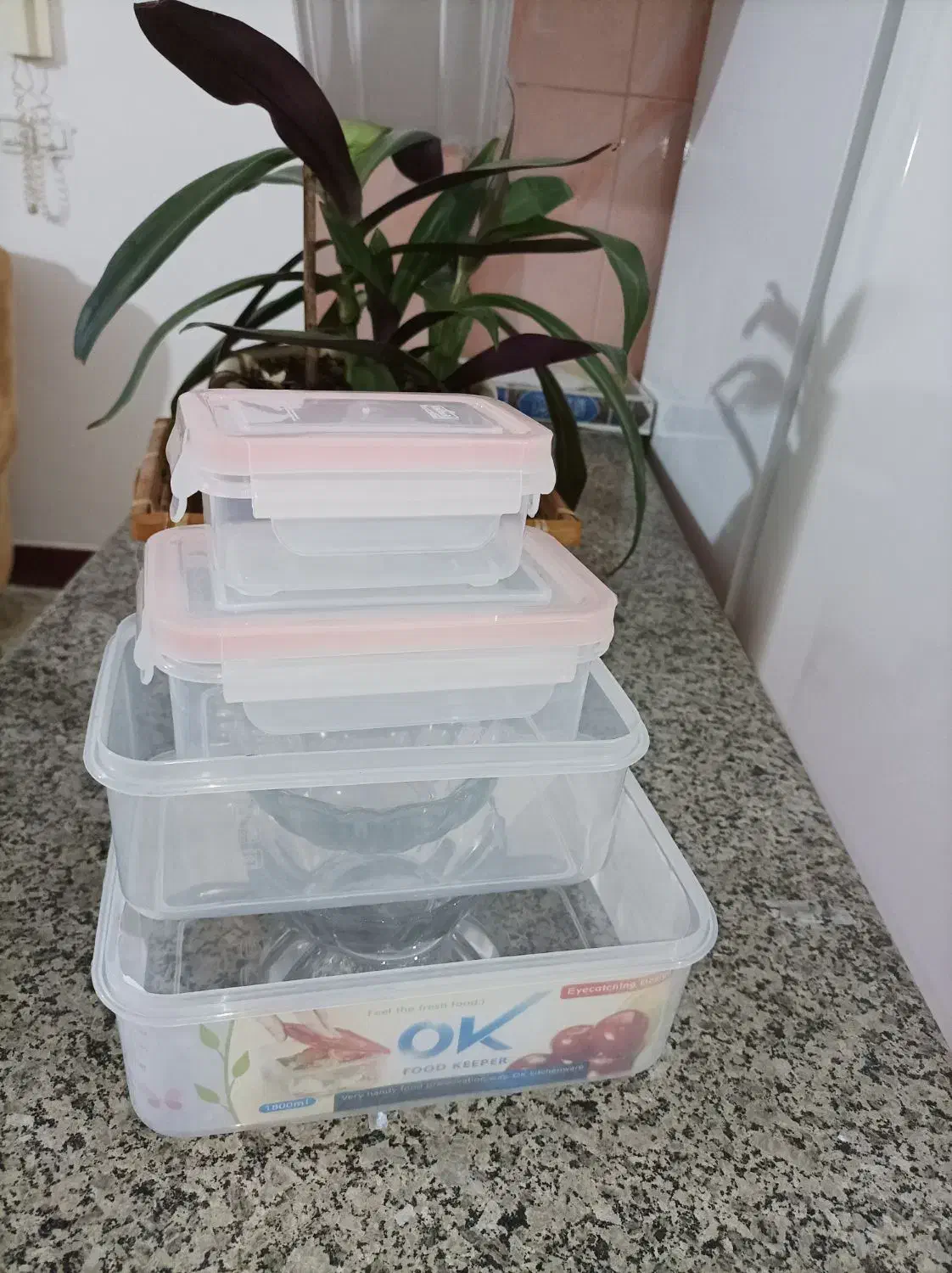 ظرفهای دربدار|ظروف نگهدارنده، پلاستیکی، یک‌بارمصرف|نقده, |دیوار