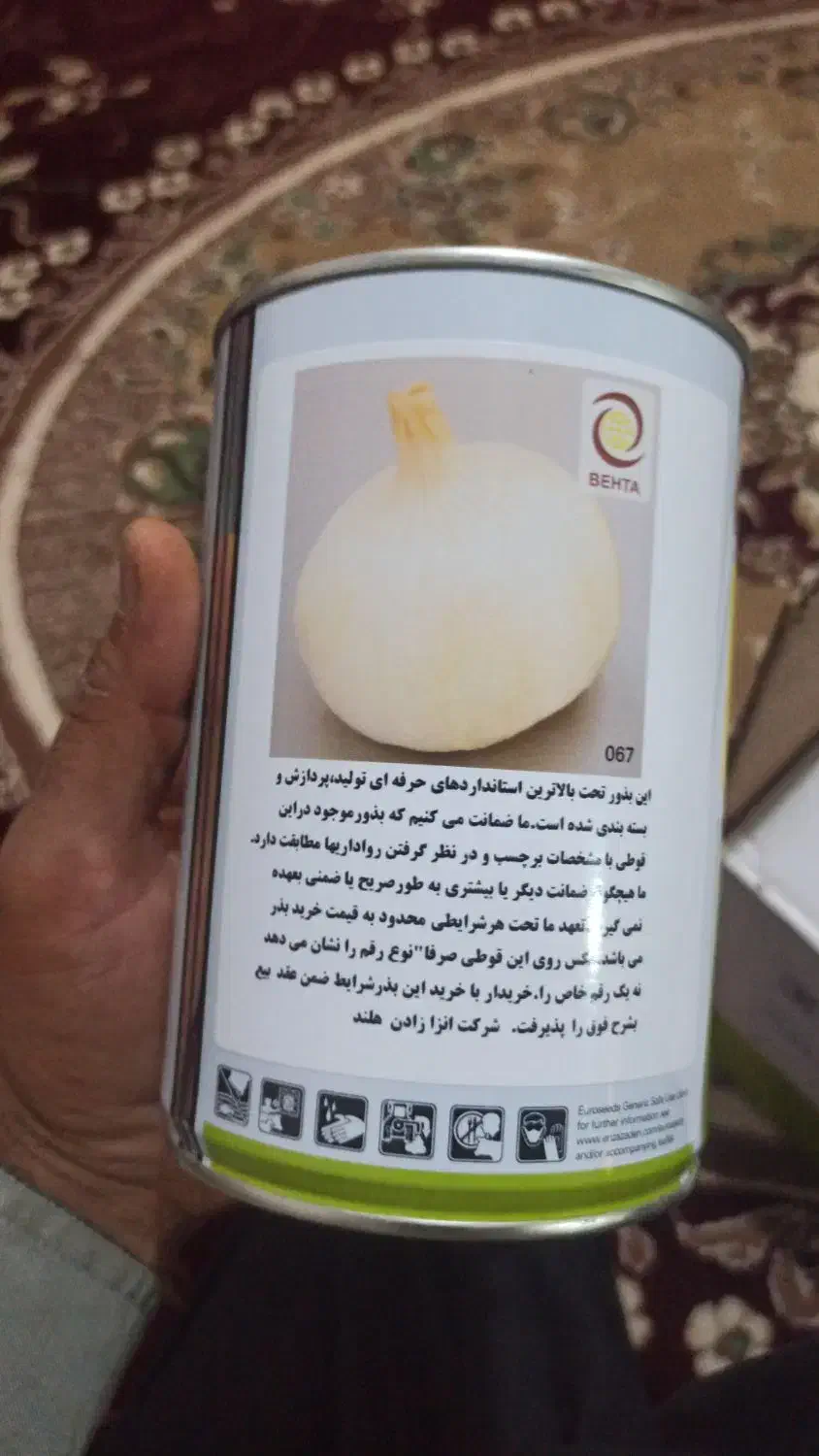 بذر پیاز ۱۱عدد قوطی آرژانتین|گل و گیاه طبیعی|رودبار, |دیوار