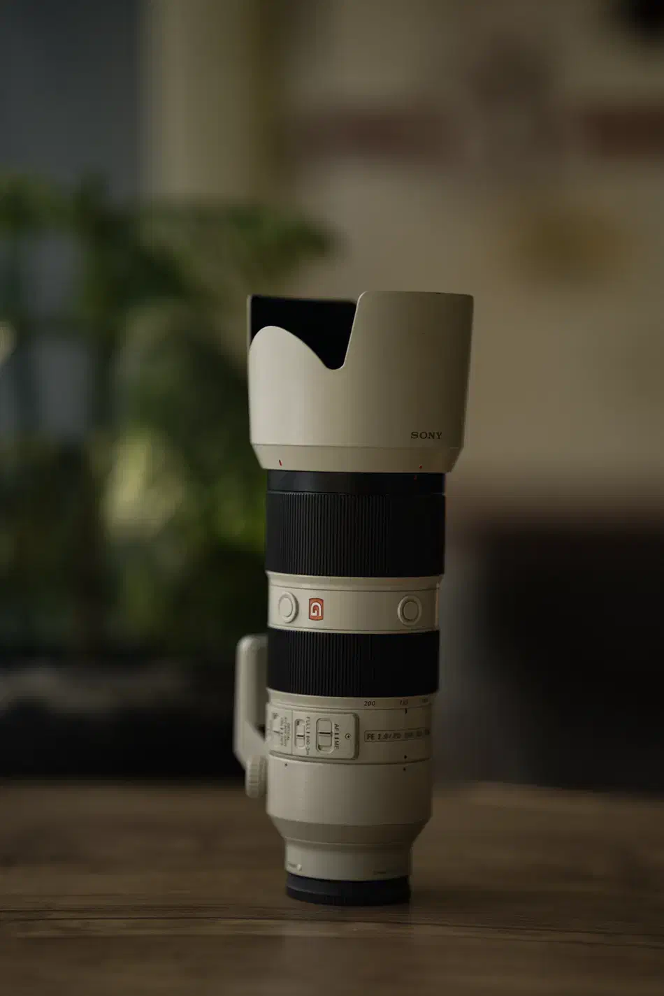 lens 70-200 sony ۷۰-۲۰۰ سونی|دوربین عکاسی و فیلم‌برداری|ارومیه, |دیوار