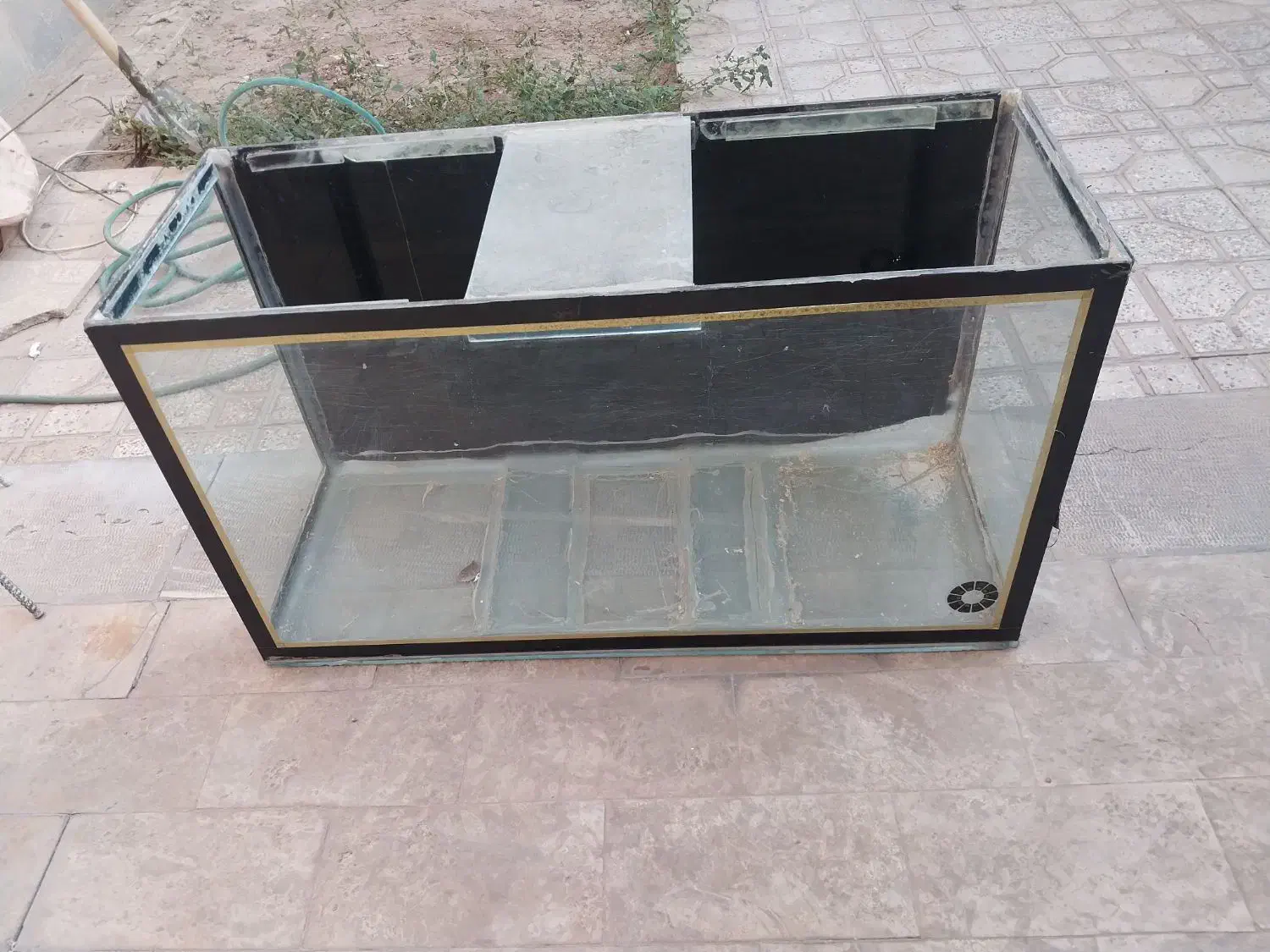 آکواریم|ماهی|شاهینشهر, شهرک گلدیس|دیوار