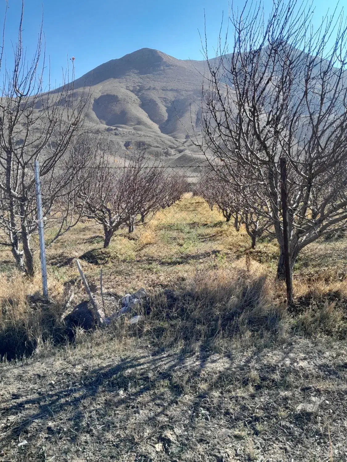 تهران فیروزکوه زمین کشاورزی وباغ|فروش زمین و ملک کلنگی|فیروزکوه, |دیوار