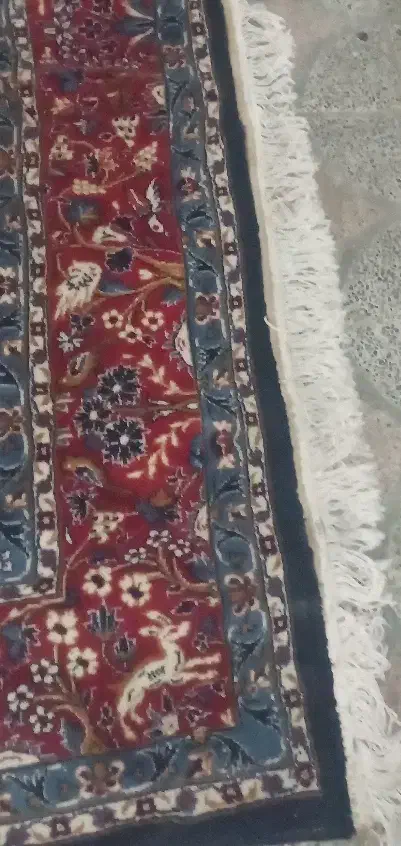 فرش ماشینی6 متریـ|فرش|بندرعباس, |دیوار