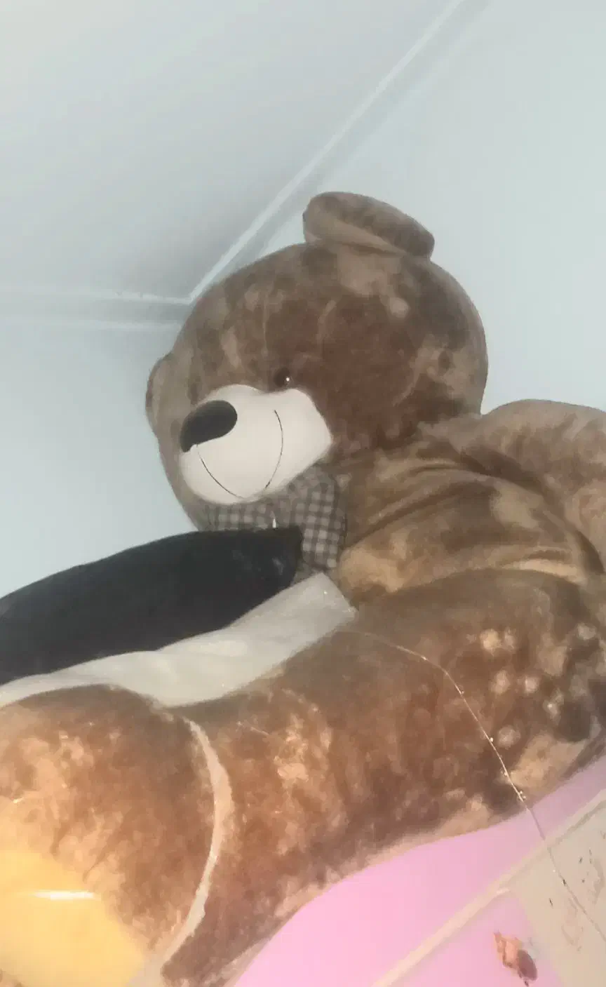 خرس قهوه‌ای بزرگ|کلکسیون و سرگرمی|تهران, شهرک زینبیه|دیوار