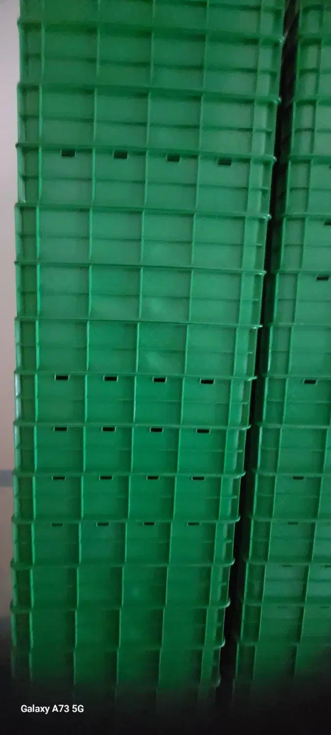 جعبه پلاستیکی|ظروف نگهدارنده، پلاستیکی، یک‌بارمصرف|بناب, |دیوار