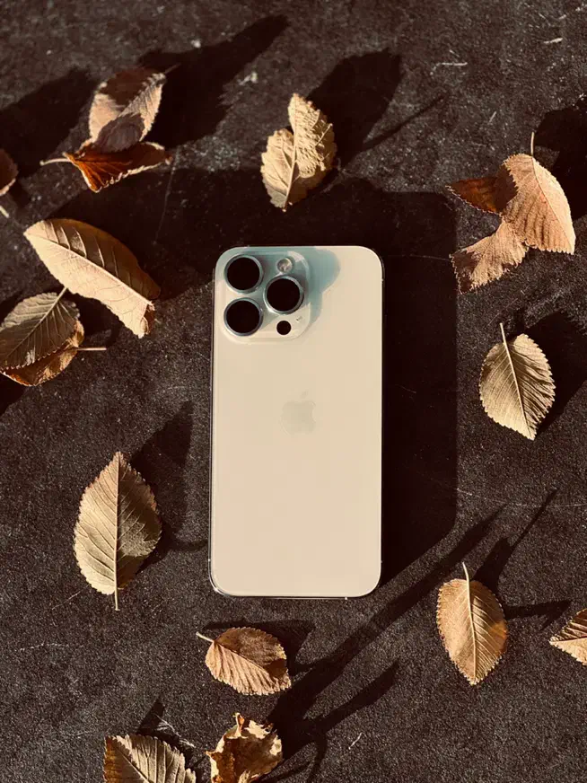 اپل iPhone 13 Pro ۲۵۶|موبایل|تهران, بریانک|دیوار