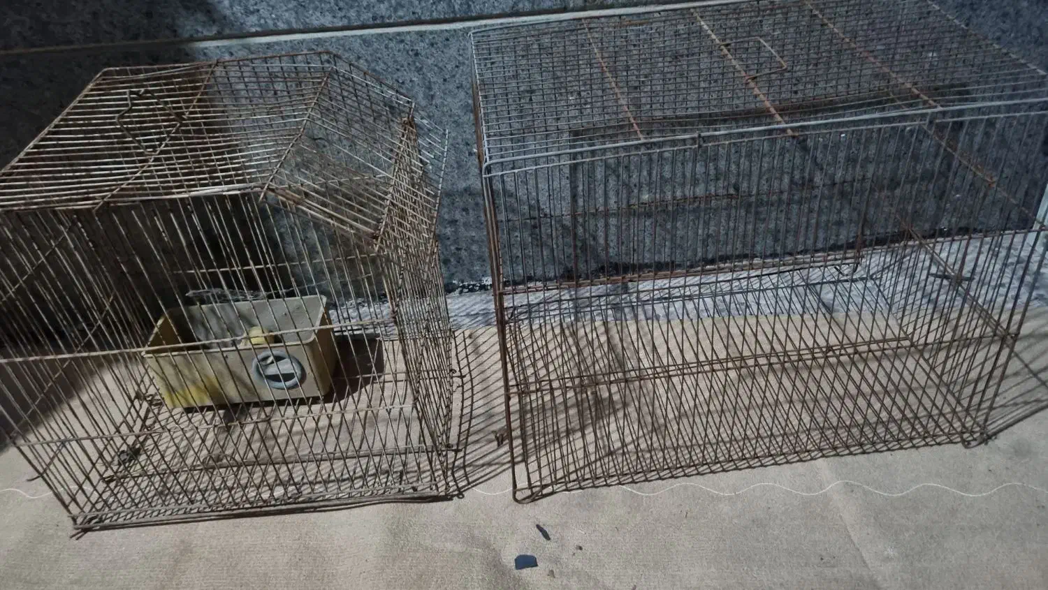 قفس|لوازم جانبی حیوانات|اهواز, حصیرآباد|دیوار