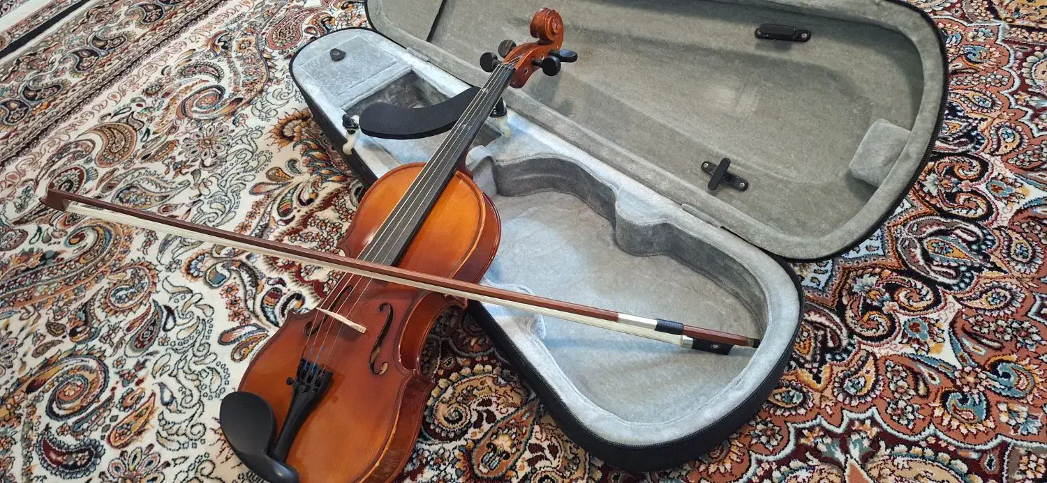 فروش فوری تنبک و ویولن|سازهای سنتی|تهران, سازمان برنامه جنوبی|دیوار