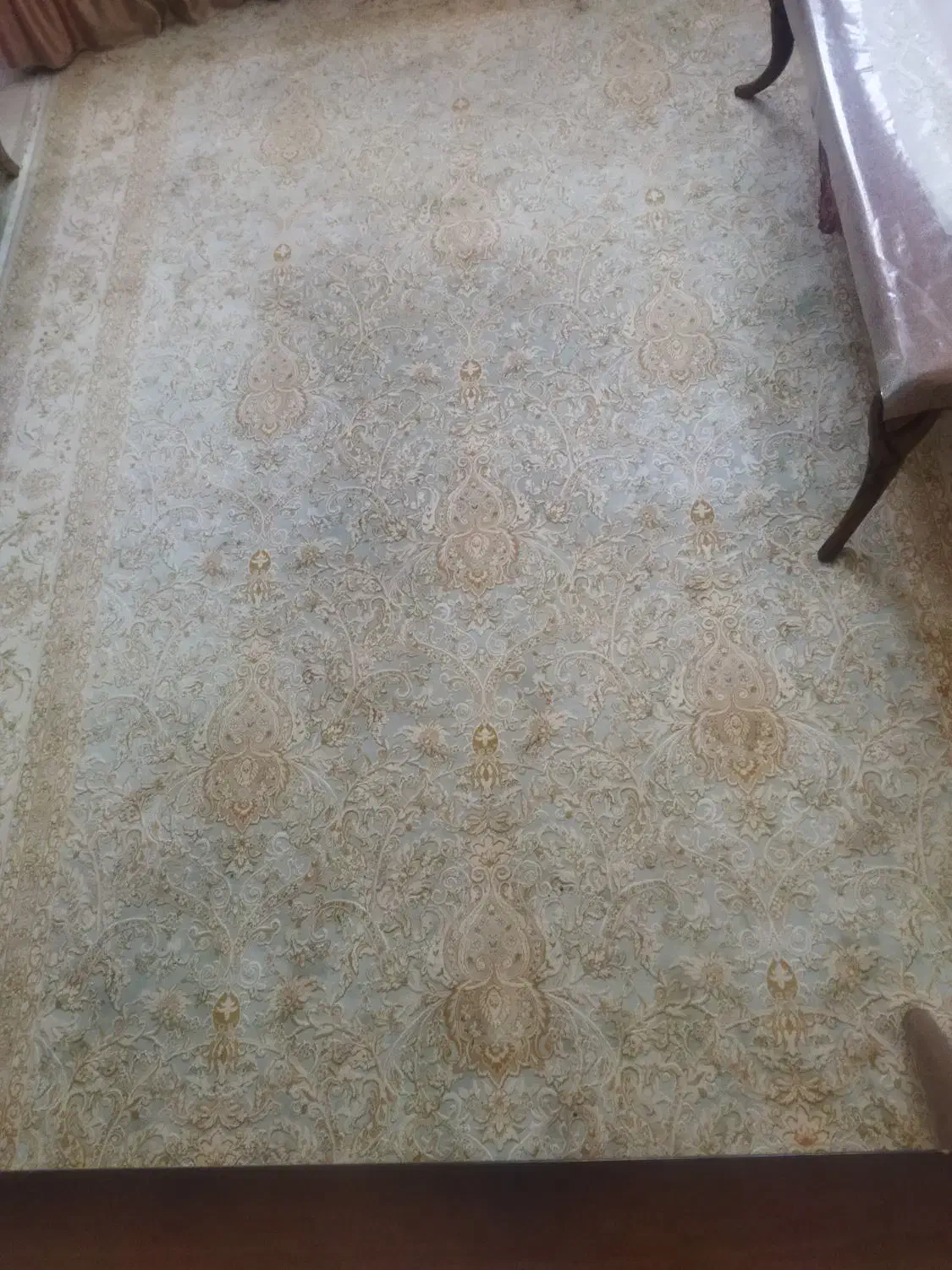 فرش نگین|فرش|سهند, |دیوار