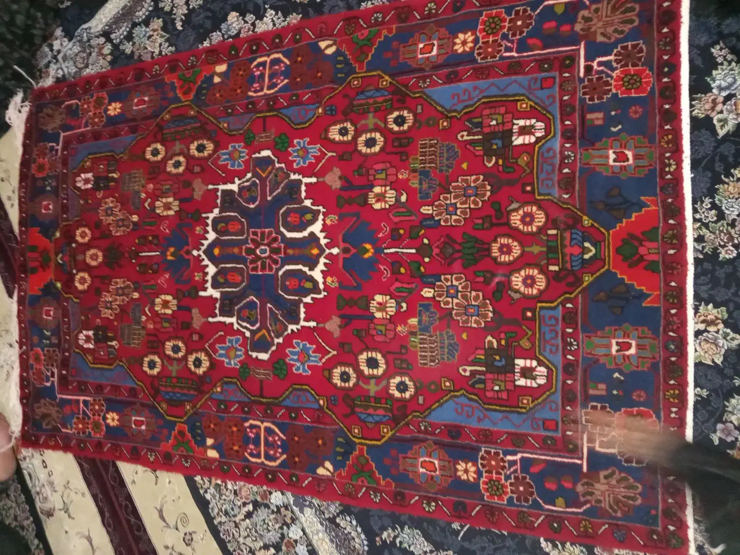 قالی دست بافت زیبا|فرش|نهاوند, |دیوار