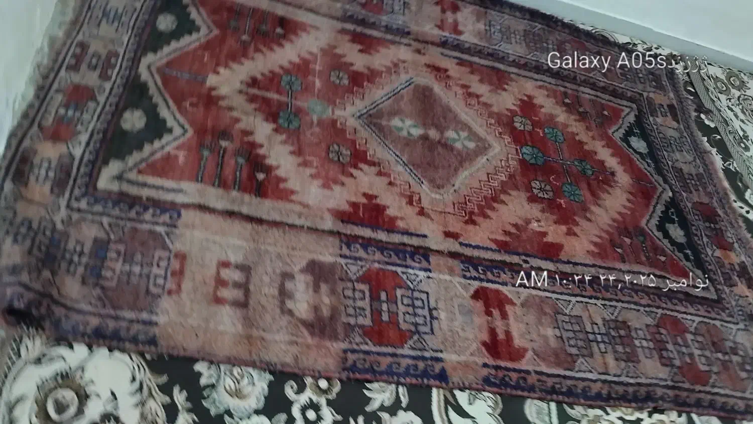 قالی|فرش|دزفول, |دیوار