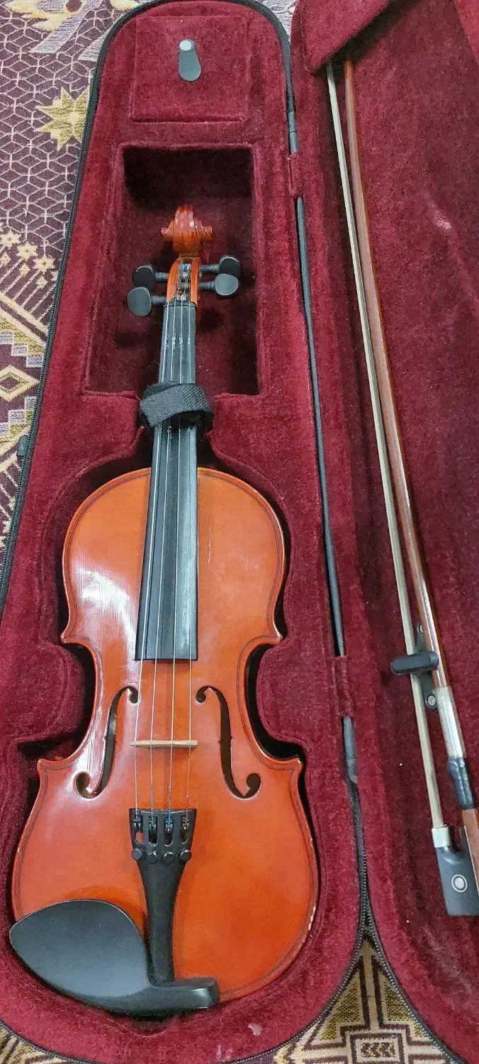 ویولن ۲/۴ برند رناتو ۱۲۰|ویولن|شیراز, ریاستی|دیوار