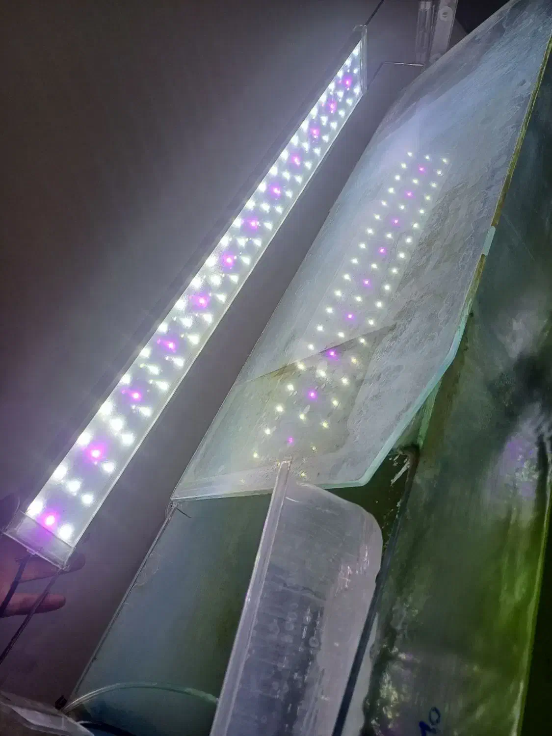 لامپ اکواریوم|ماهی|آبیک, |دیوار