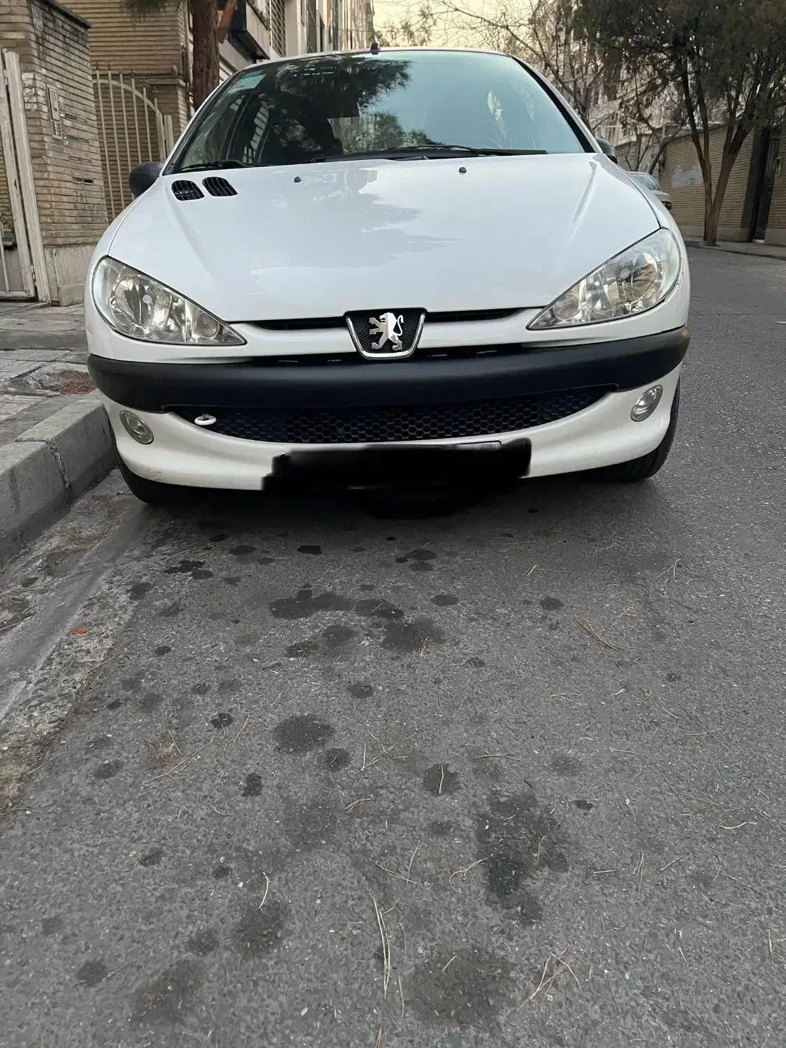 پژو ۲۰۶ تیپ ۲ مدل ۱۴۰۱|خودرو سواری و وانت|تهران, مرزداران|دیوار