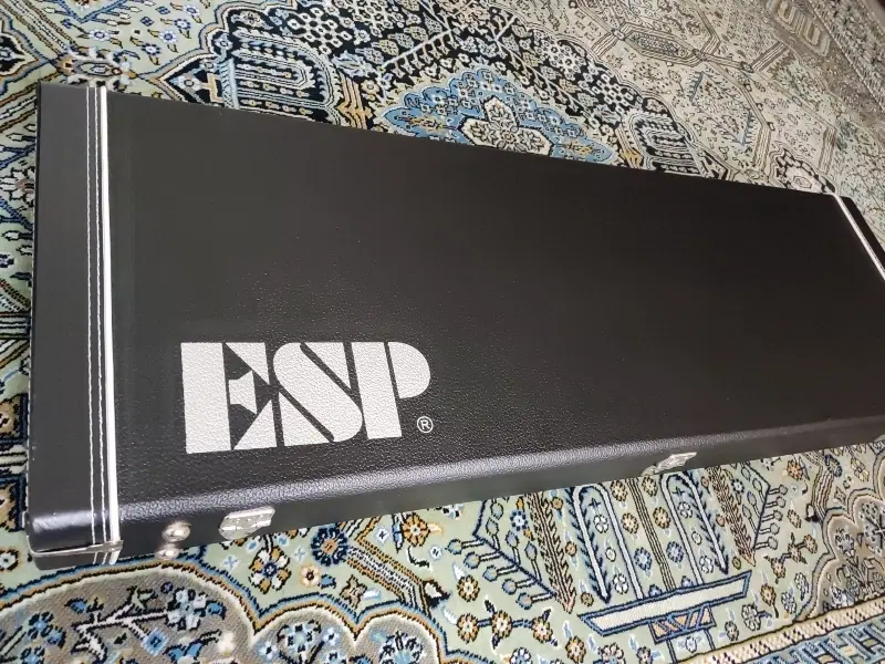 هاردکیس ESP LTD|گیتار، بیس، امپلیفایر|تهران, پارک شهر|دیوار