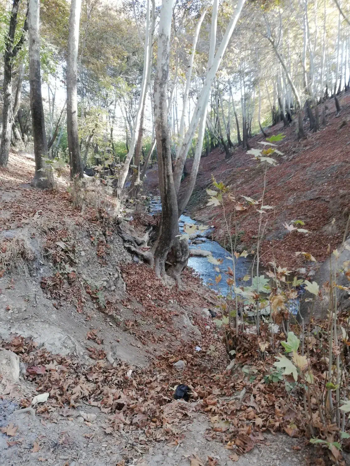 طبیعت گردی|کوهنوردی و کمپینگ|کرمانشاه, |دیوار