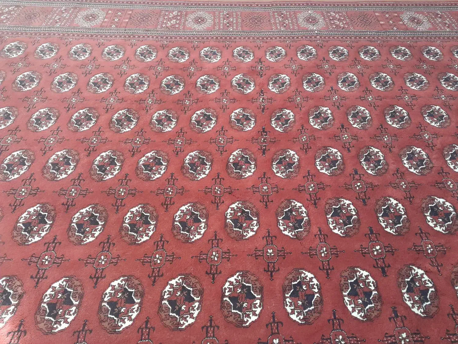 فرش تمیز بزرگ|فرش|بندر ترکمن, |دیوار