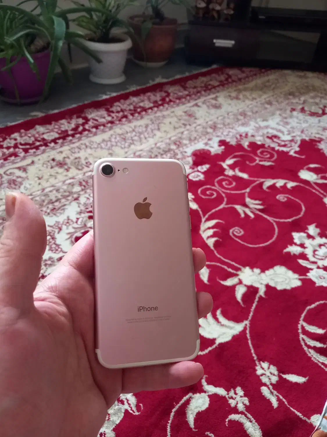 ایفون ۷|موبایل|زنجان, |دیوار