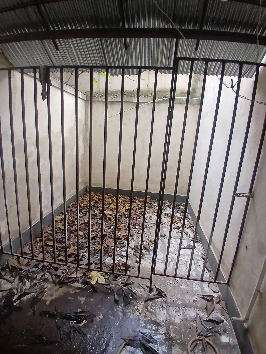 فروش یا معاوضه مغازه بر اصلی مهرگان|فروش مغازه و غرفه|لاهیجان, مهرگان|دیوار