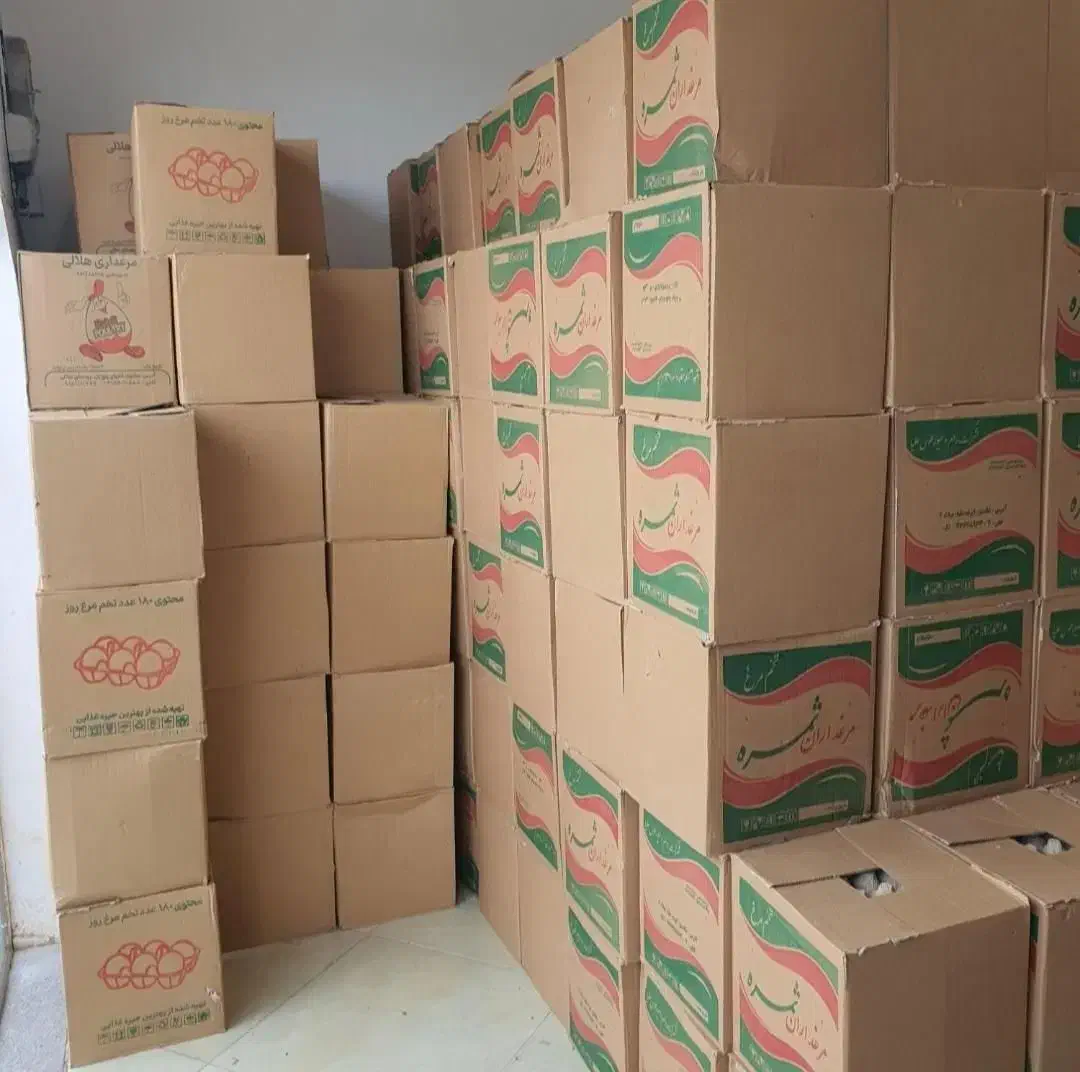 پخش عمده تخم مرغ بومی گلپایگانی|خوردنی و آشامیدنی|کاشان, دشت چال|دیوار