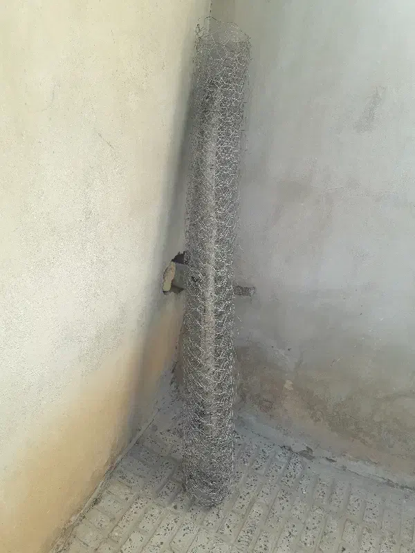 تور مرغی سالم|مصالح و تجهیزات ساختمان|صحنه, |دیوار