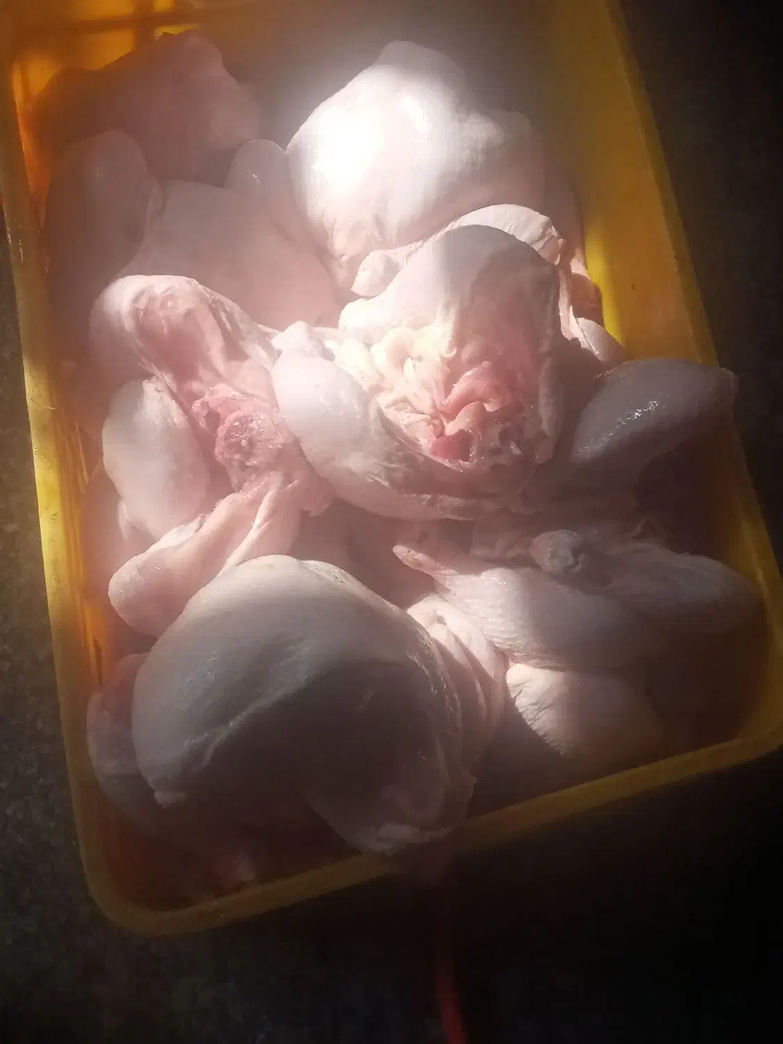 ران.مرغ|خوردنی و آشامیدنی|کرمانشاه, |دیوار