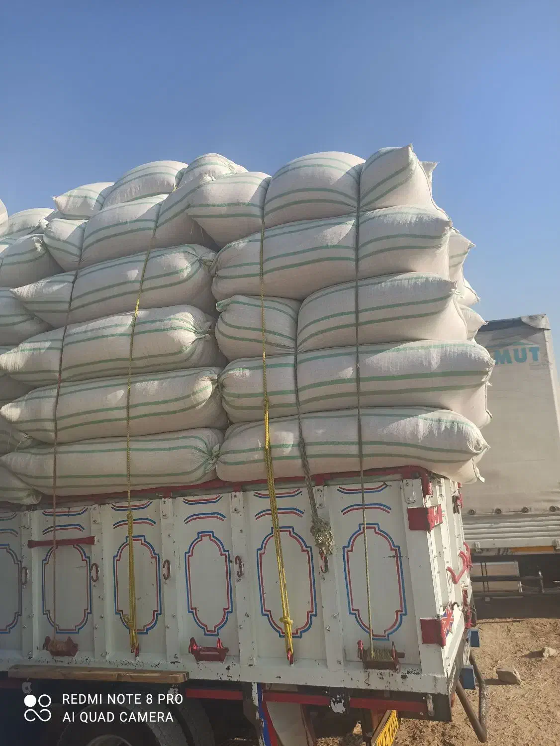 کاه دیم کردستان|لوازم جانبی حیوانات|اصفهان, باغ نگاره|دیوار