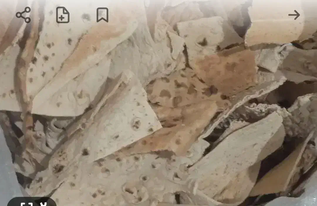 نون. خشک|لوازم جانبی حیوانات|بیرجند, |دیوار