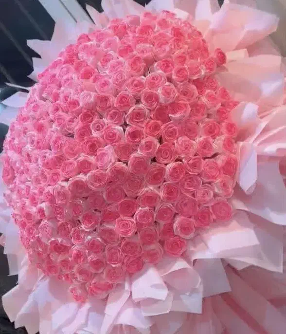 گل ارایی|گل و گیاه طبیعی|قم, انصار‌الحسین|دیوار